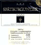 Ahr-Burggarten-spätburg