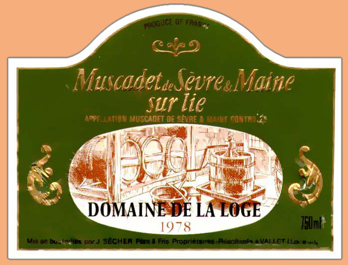 Muscadet-DomLoge.jpg